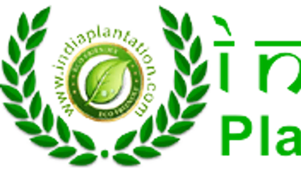 Tissue Culture Teak Plant