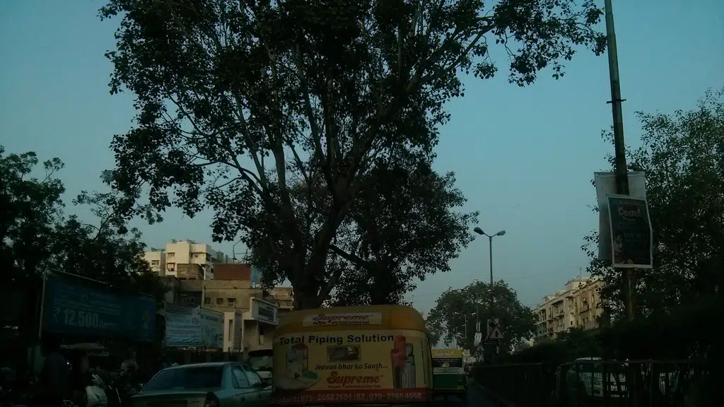 Bharat NX