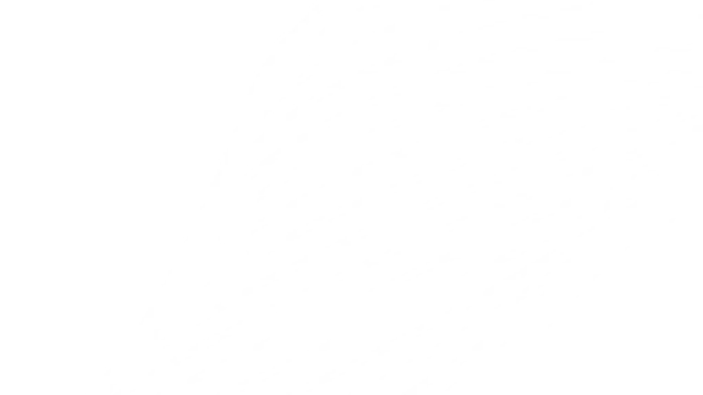 Allies Container LLP