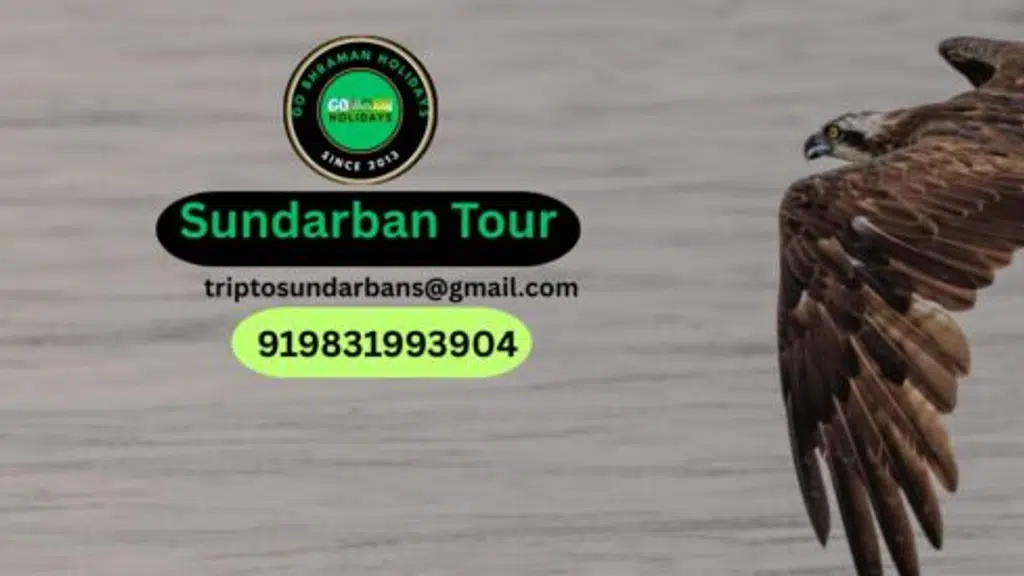 Trip to Sundarbans