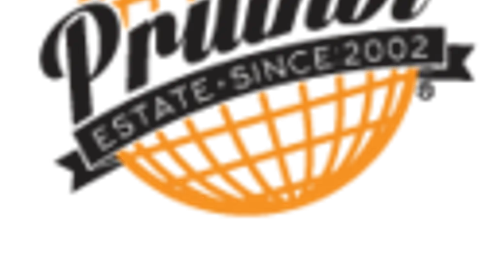 Pruthvi Estate Consultant