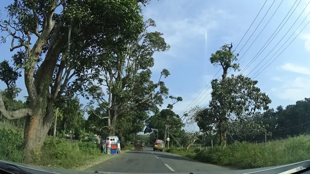 Wild Tusker Resort