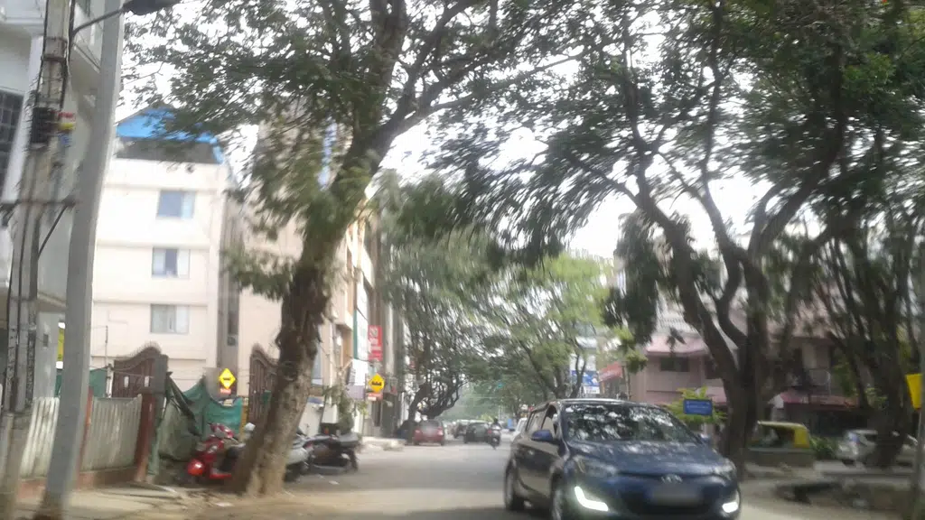 Surabhi Stores