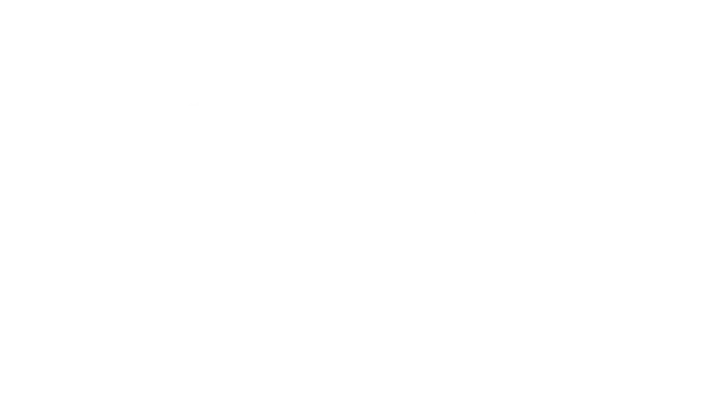 Ojas Shoes | Bags | Laundry