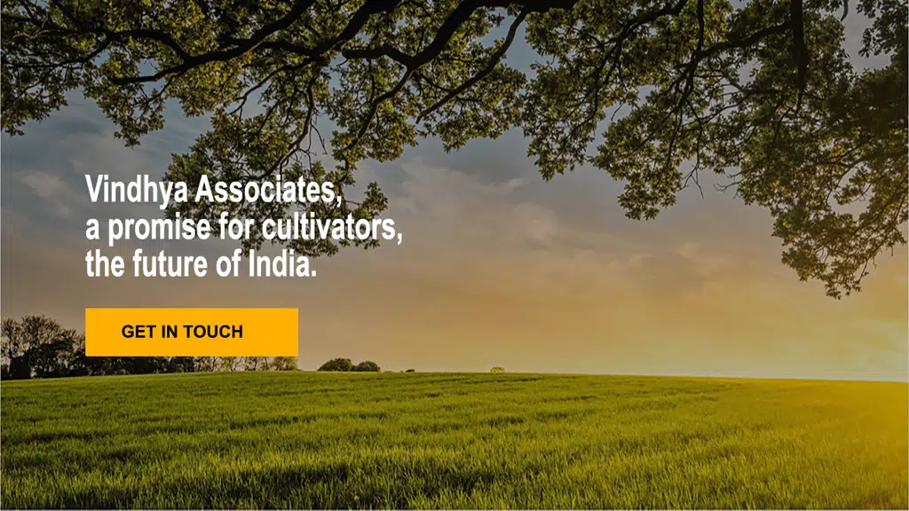 Bhavin Dedhia and Associates