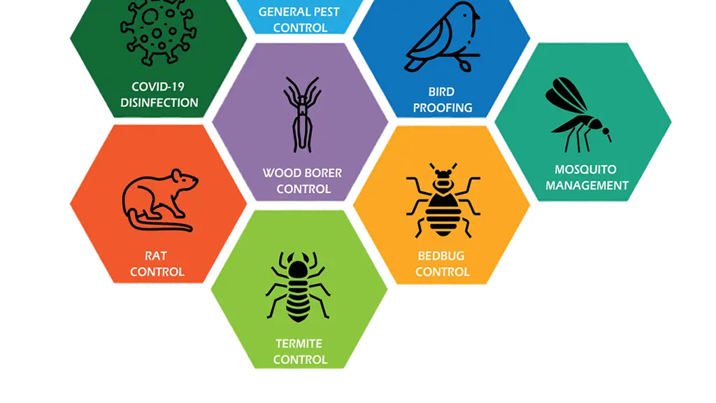 Peripatus - Pest Control Services _Residential & Commercial