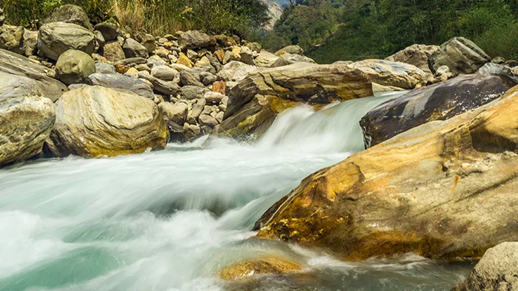 Kashmir Stag Tour and Travels