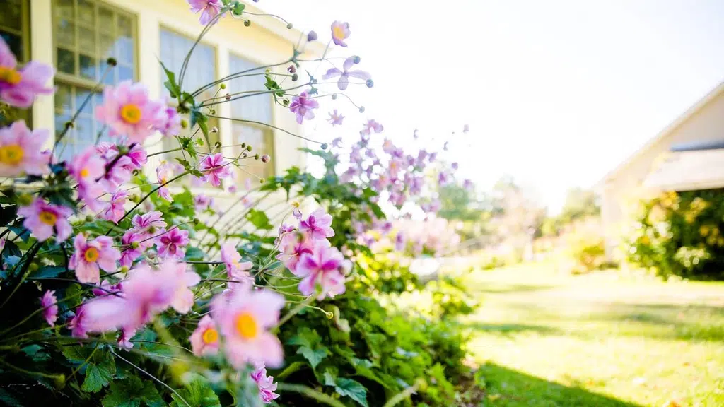 Ganga Niwas Bed and Breakfast