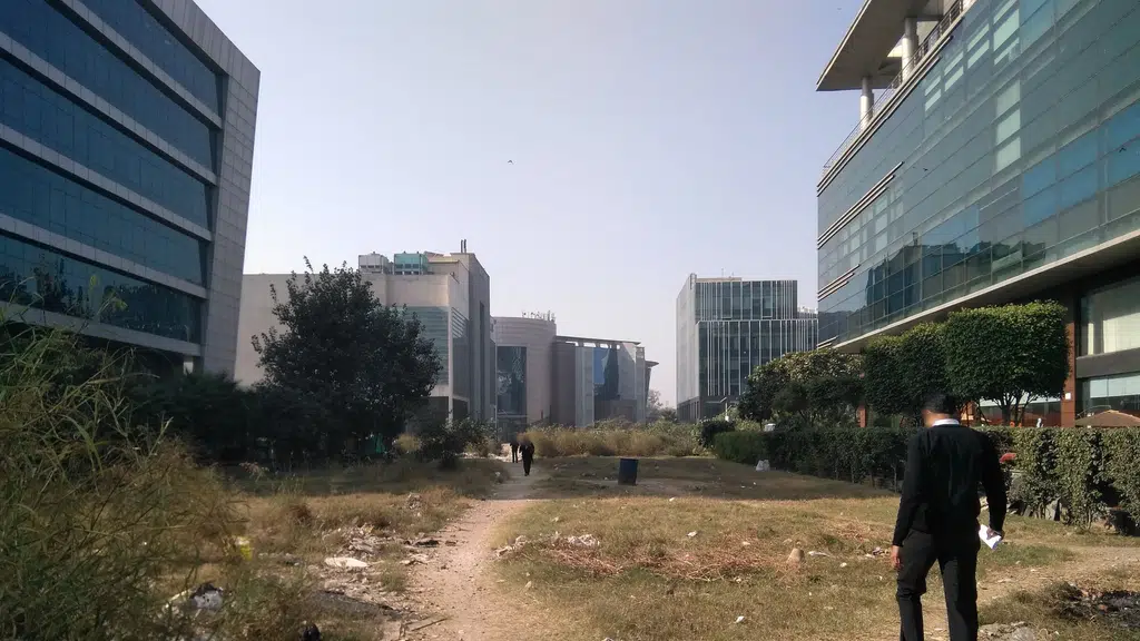 Willowood India