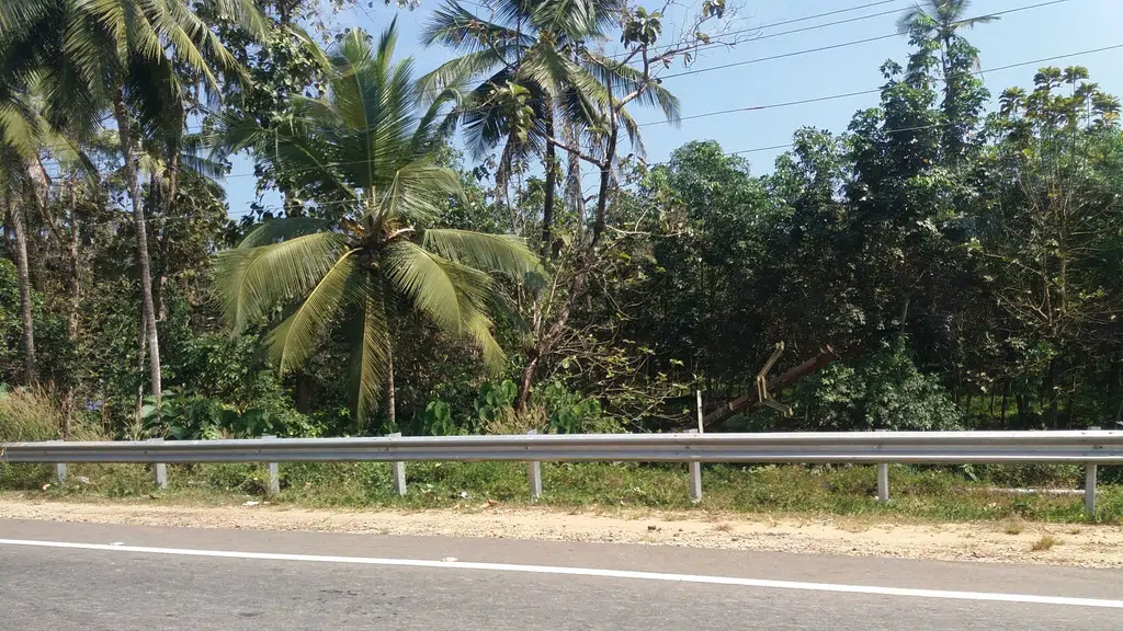 Karimkunnam - Nattuvartha
