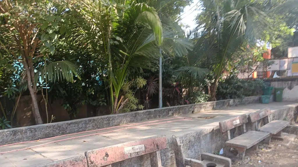Aarav cricket - Dayanand Vidyalaya