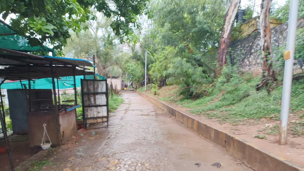 Vizag City Central Park