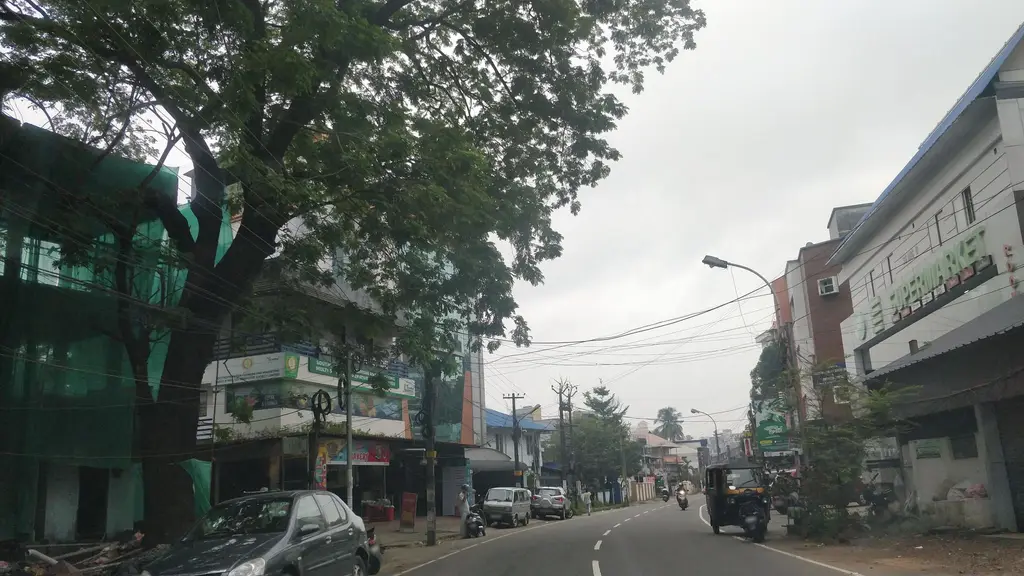 Thaikkattu Mooss Ayurveda Vidyalaya