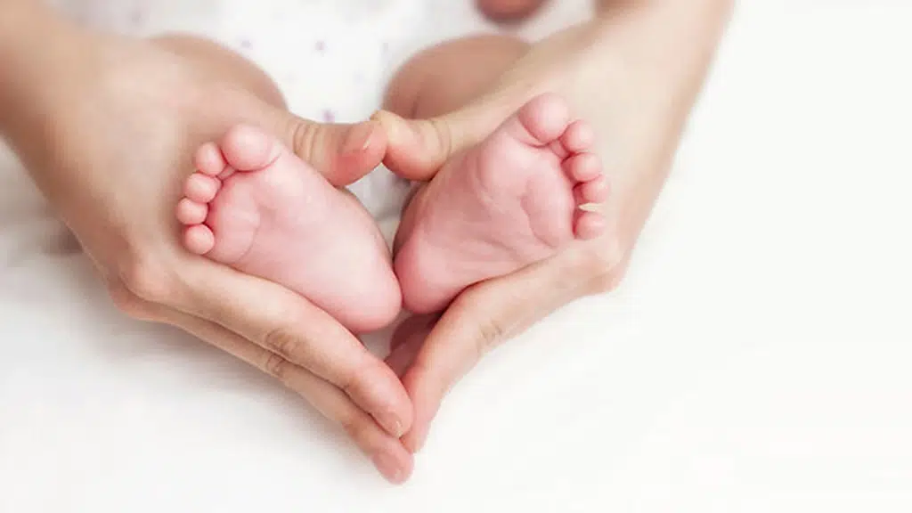 India Fertility Clinic