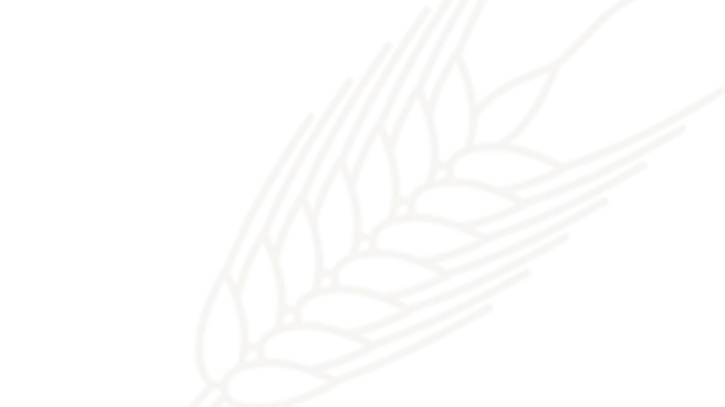 Kusmi Pvt Ltd