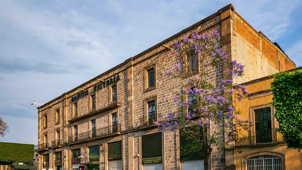 OYO 13586 Hotel Monarch