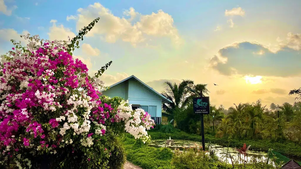 Exotica Beach Retreats