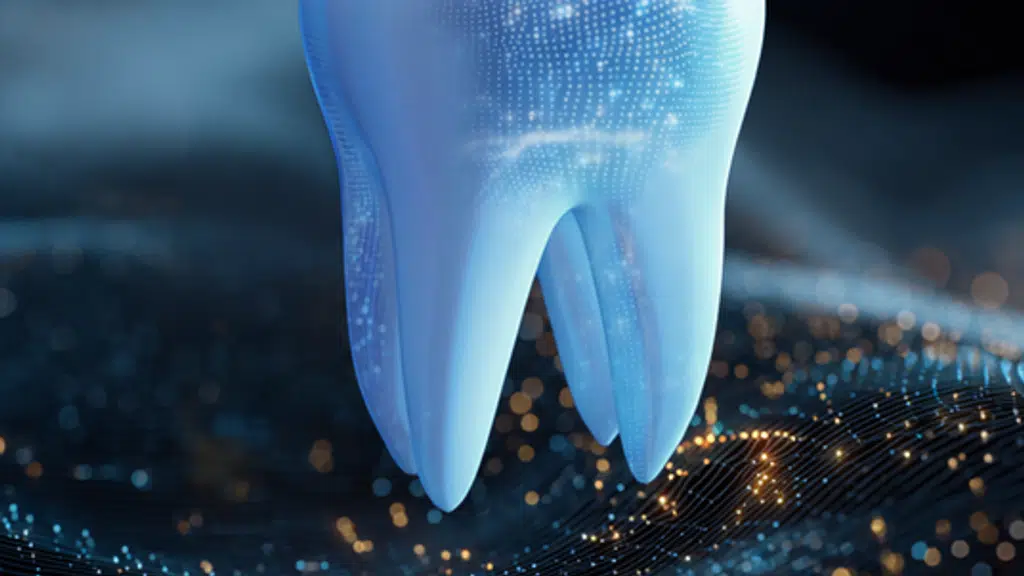 DENTE 91
