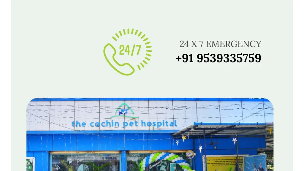 The Cochin Pet Hospital