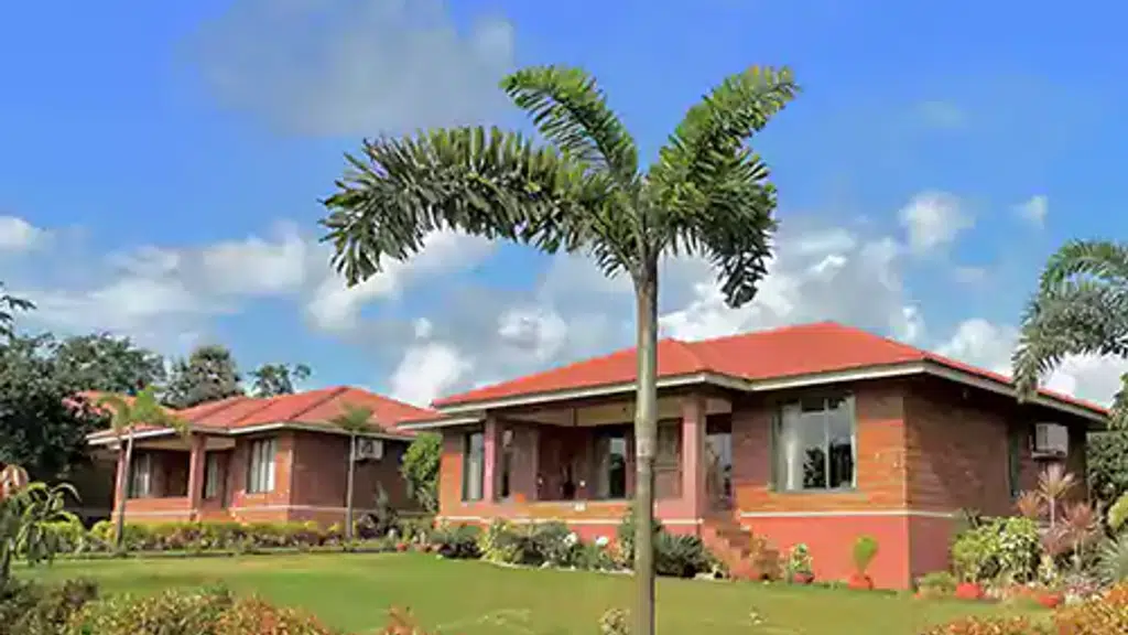 Mango Village, Guhagar
