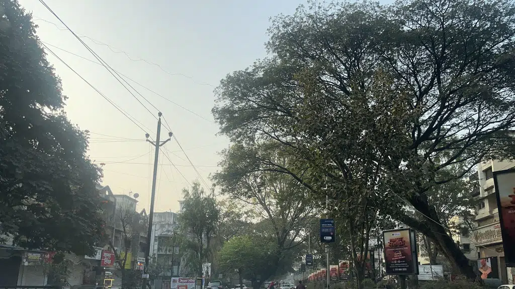 Pot Icecream & Golden Samosa Nashik