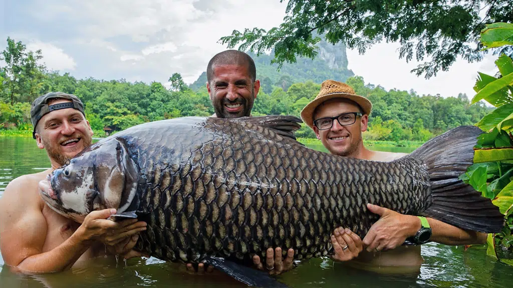 Gillhams Fishing Resorts