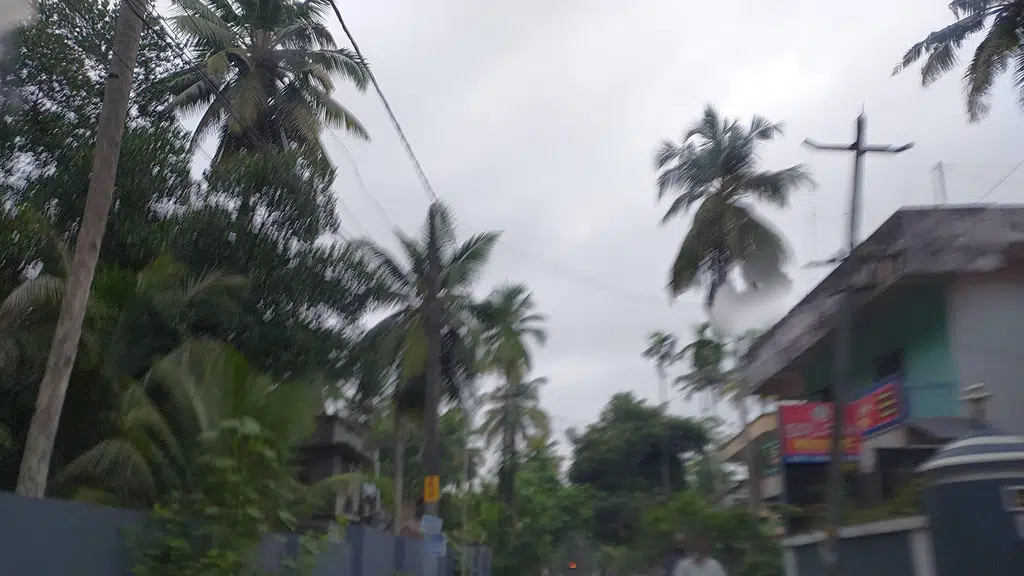 Muttakkulam Devi Temple, Kattachira, Pallickal P. O, Kayamkulam.