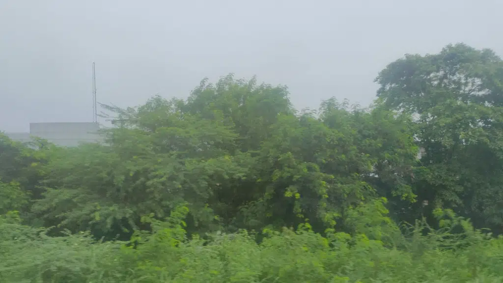 Maruti Suzuki ARENA (Reddy & Reddy Motors, Eluru, Vatluru)