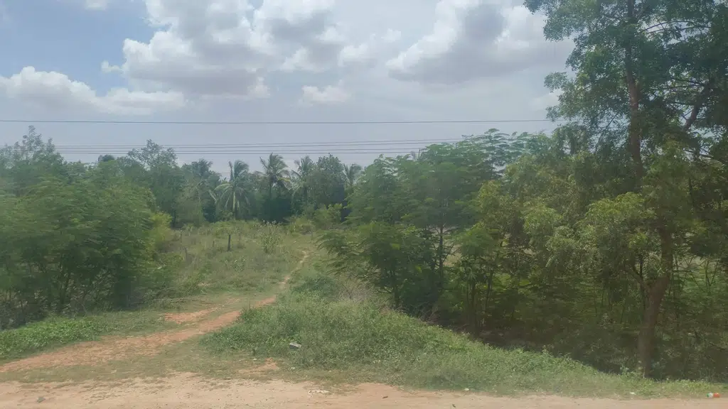 Bhavana General Store
