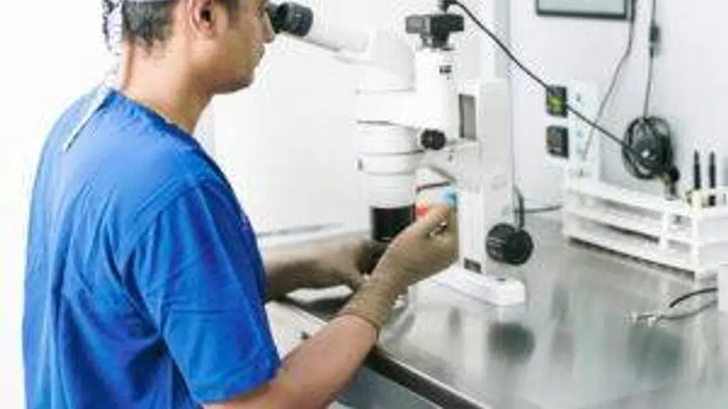 Embryonic Fertility and IVF Centre
