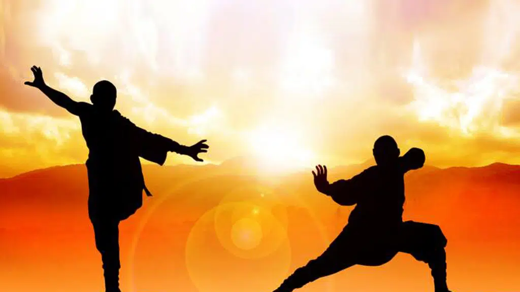 Shaolin Kung-Fu & Yoga Class by Dileep K Divakaran, Palodu
