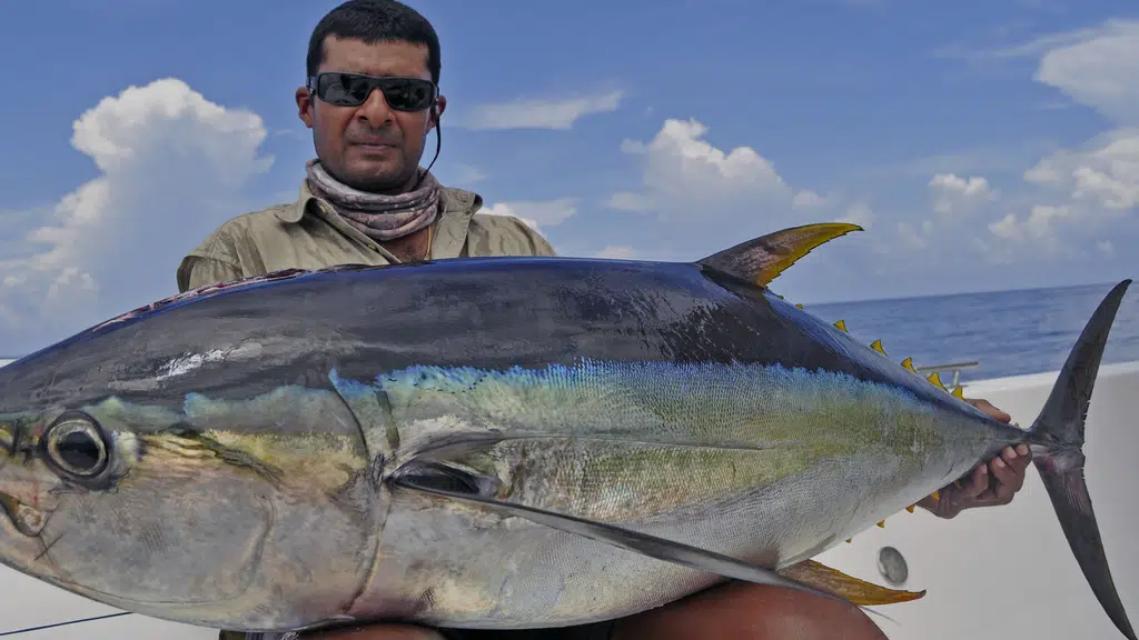 Andaman Angler