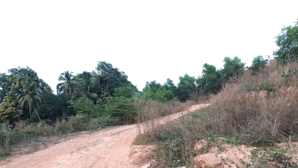 Ford Assured Cauvery Ford