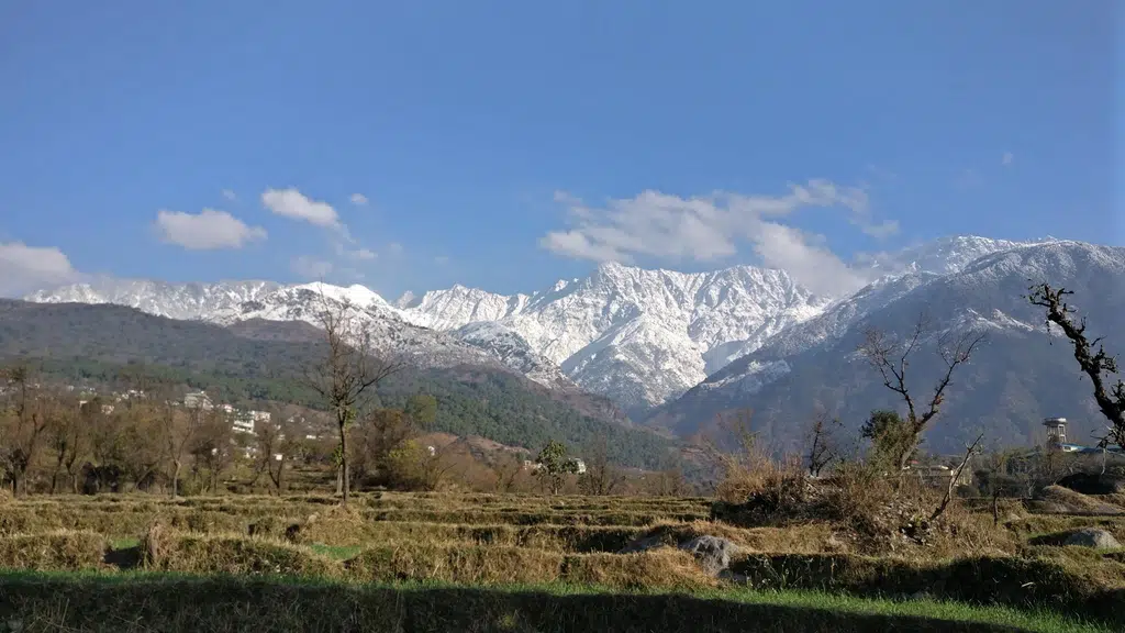 The Ballu Homestay