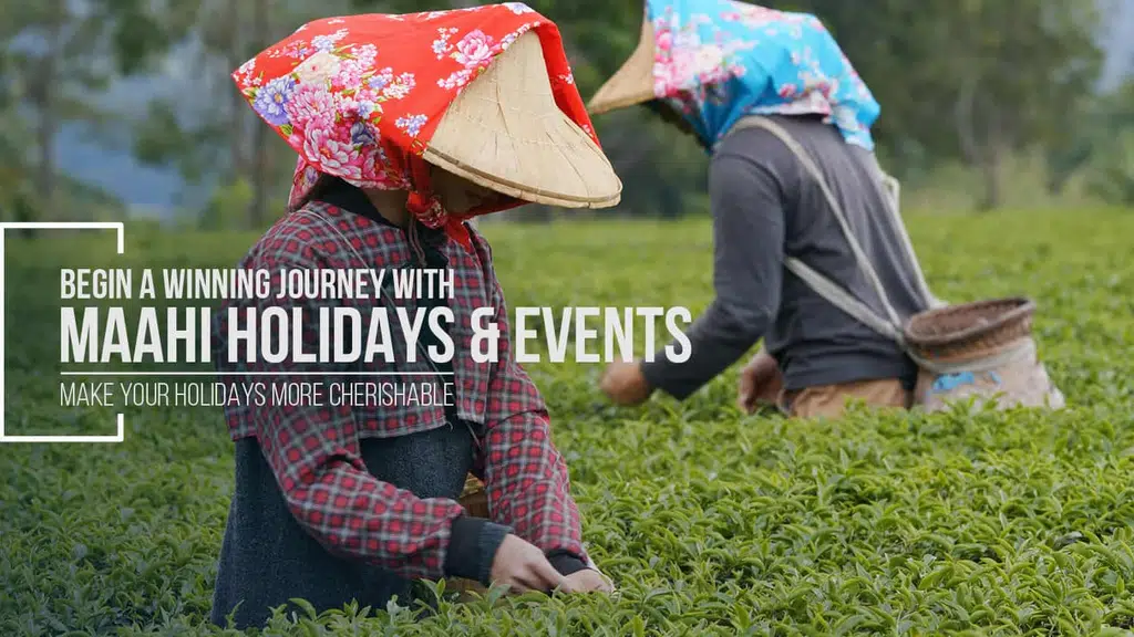 Maahi Holidays and Events