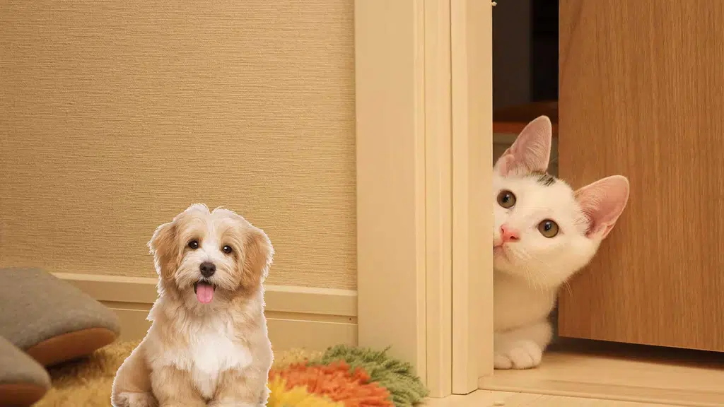 Dr.Aher's Pet Care Center