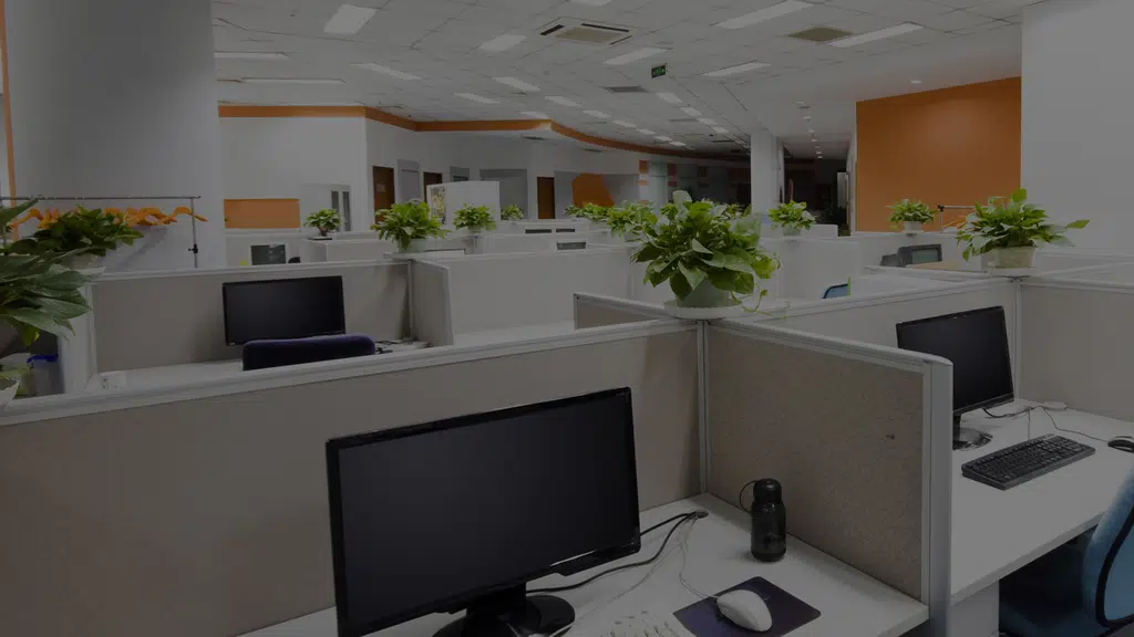 Flybird infotech|digital marketing company in calicut