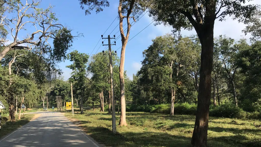 Nagarahole National Park