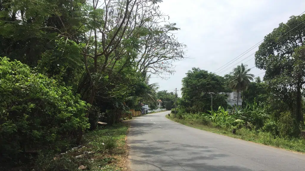 Sree Kurumba Bhagavathy Temple Tattamangalam