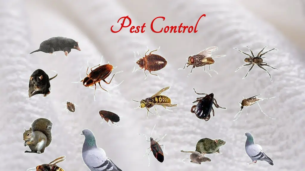 Global Pest Control Company