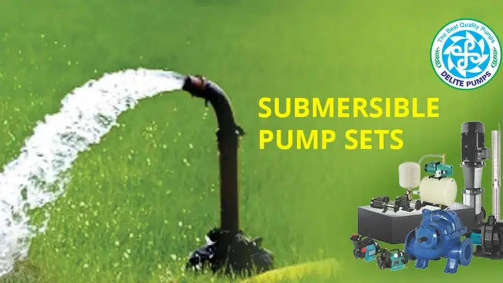 Delite Pumps