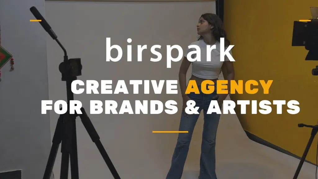 Birspark - Digital Marketing and Video Production Company