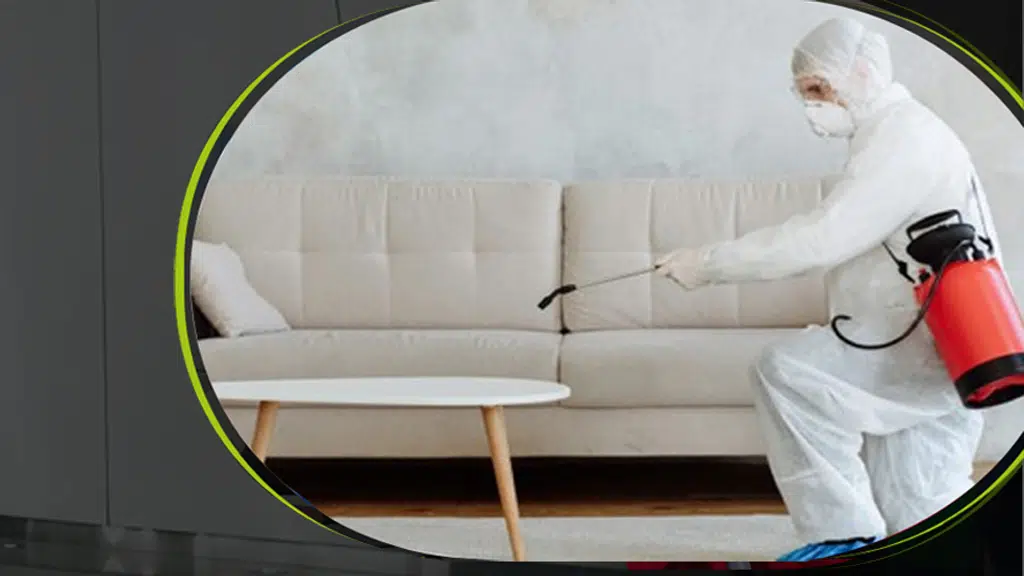 Organic Pest Control Pvt Ltd