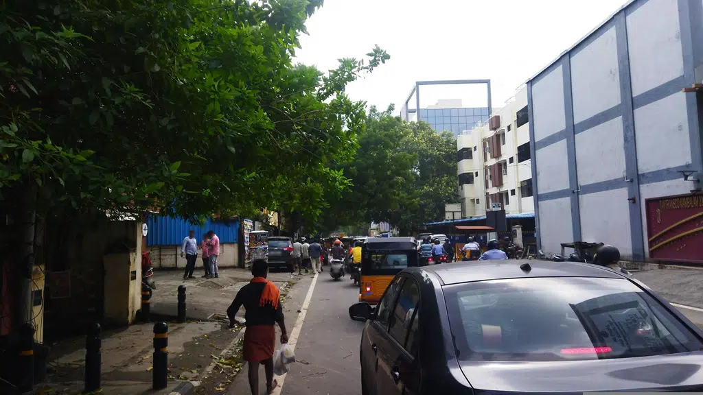 Chennai Pazhamudir Cholai