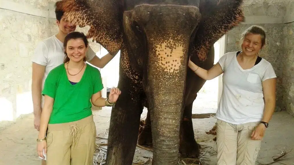 Volunteering With India ( VWI )