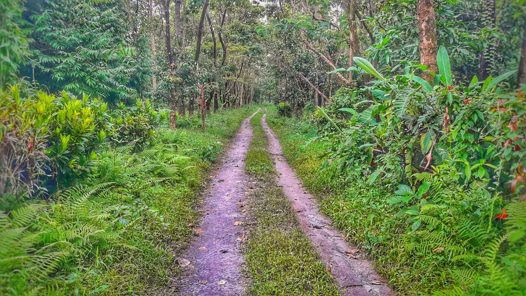 Gethsemane Man Made Forest, Bhairabkunda