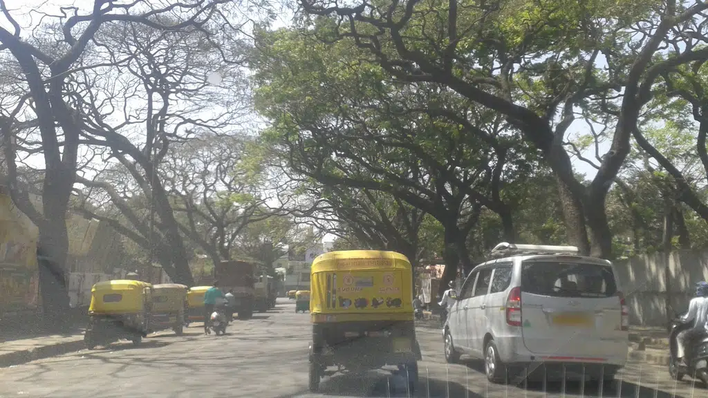 St. Teresa's Degree College For Women
