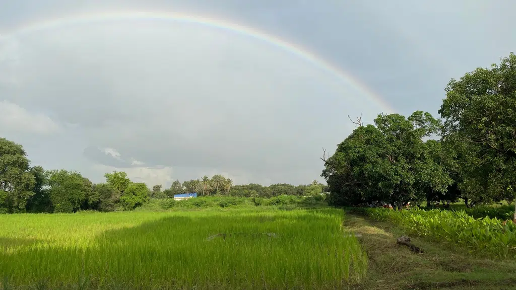 Myfarm Naturals