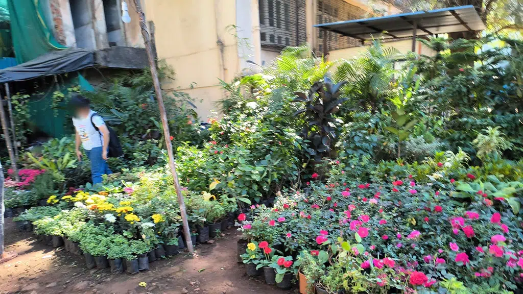 DCB Bank - Goregaon