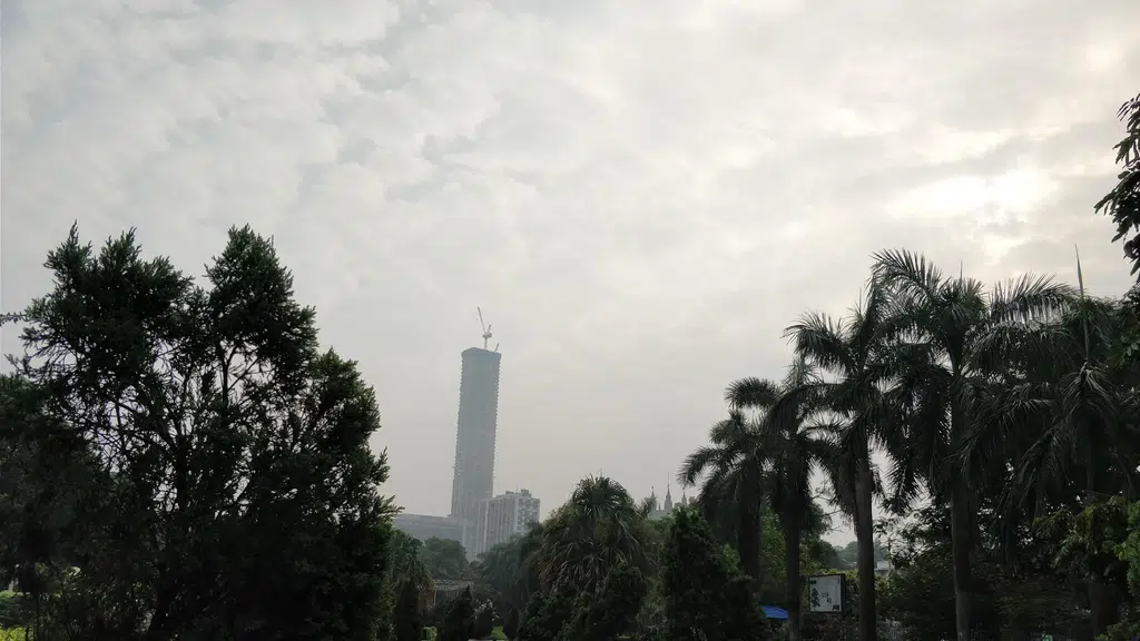 Mohor Kunja